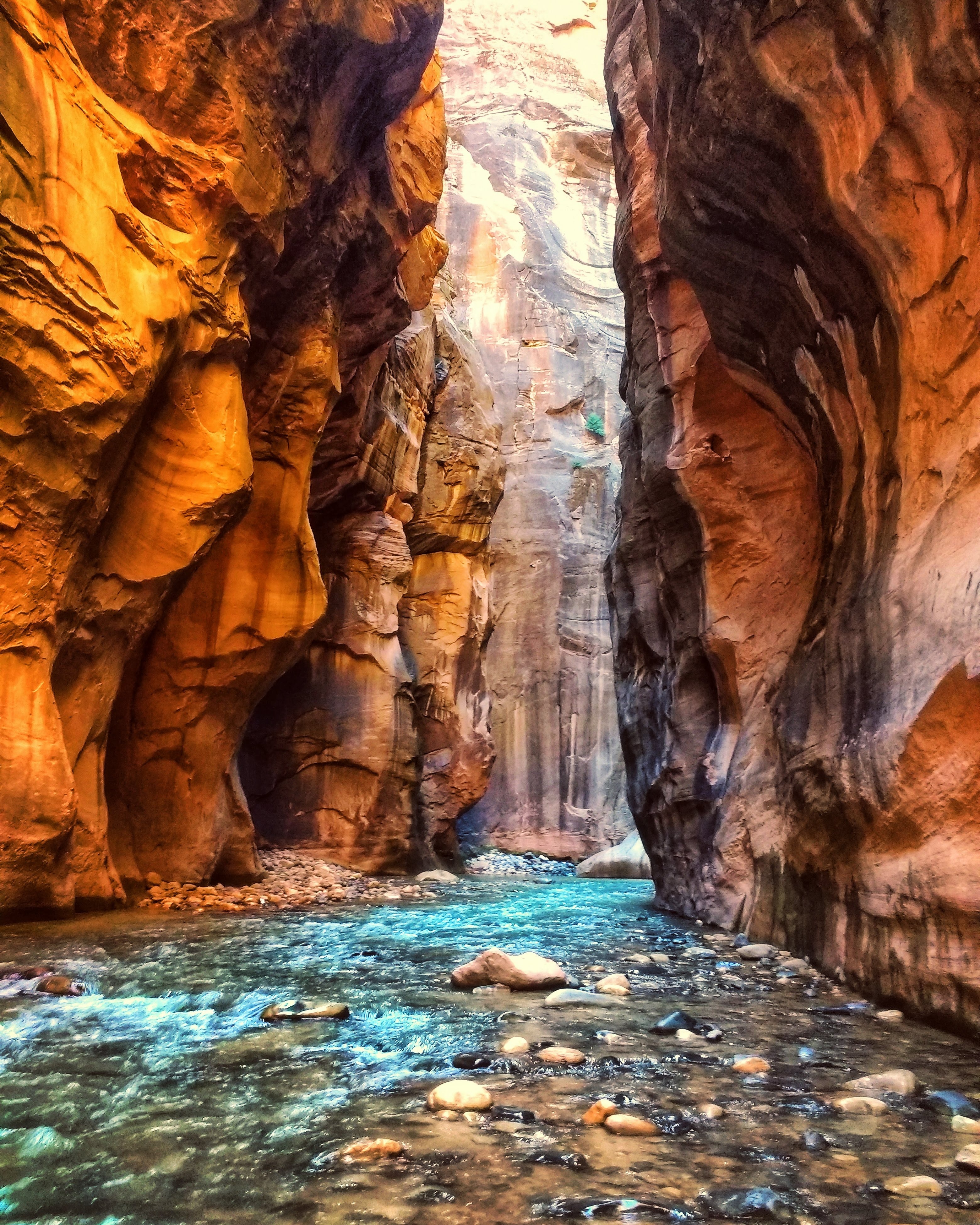 The Narrows canyon in Zion National Park. 4 Things to know when visiting Zion national park in 2022