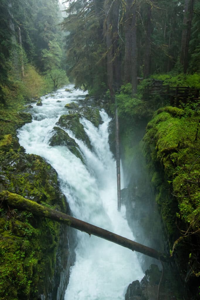 5 Best Scenic Hikes in Washington State, Sol Due Falls, o
Olympic National Park, Misty Forest 
