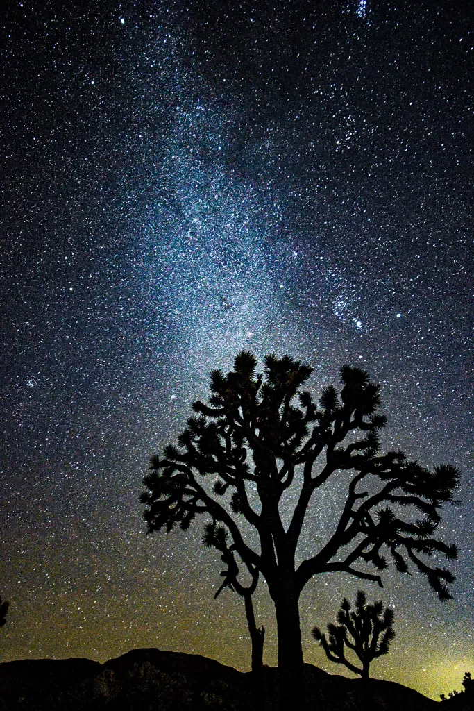Milky Way over Joshua Tree National Park.