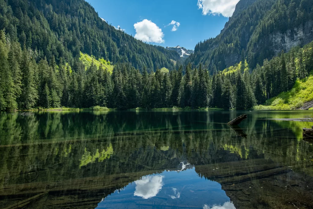 Green Lake at Mt. Rainier National Park during summer. There are blue skies with white fluffy clouds. The evergreen trees and mountains are reflecting on the still lake water. #